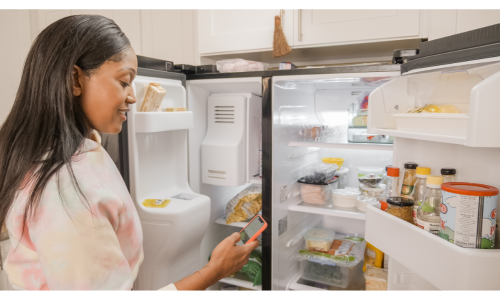 Refrigerator Maintenance